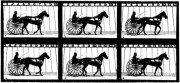 Figure 1. – Cheval au pas. – 106 mètres à la minute.
