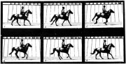 Figure 2. – Petit galop. – 200 mètres à la minute.
