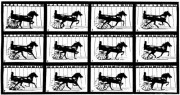 Figure 2. – Trot. – 715 mètres à la minute.