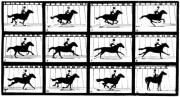Figure 5. – Galop. – 1142 mètres à la minute.